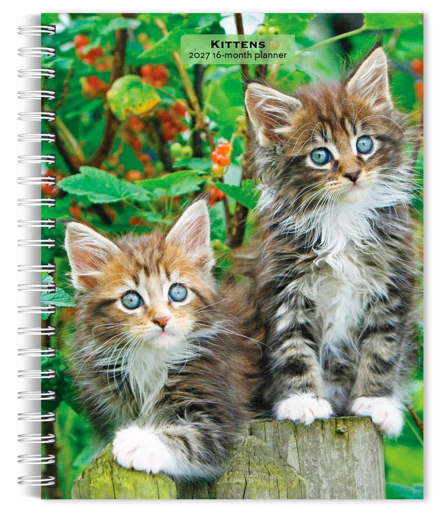 Kittens 2027 6 X 7.75 Inch Spiral-Bound Wire-O Weekly Engagement Planner Calendar New Full-Color Image Every Week
