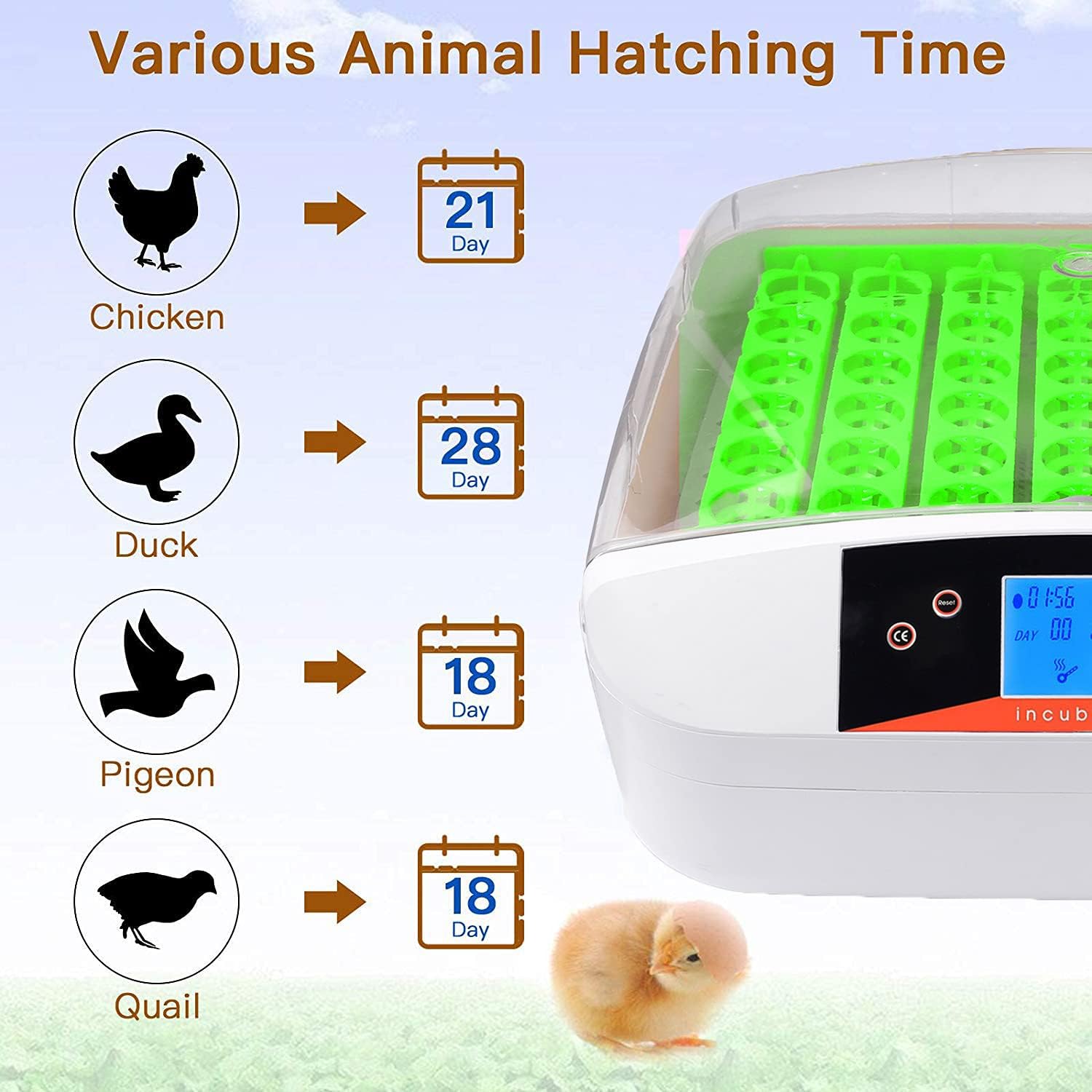 OPPSDECOR Egg Incubator, Incubators for Hatching Eggs with Fully Automatic Turning and Humidity Control, 90W Digital Clear Chicken Duck Egg Incubator