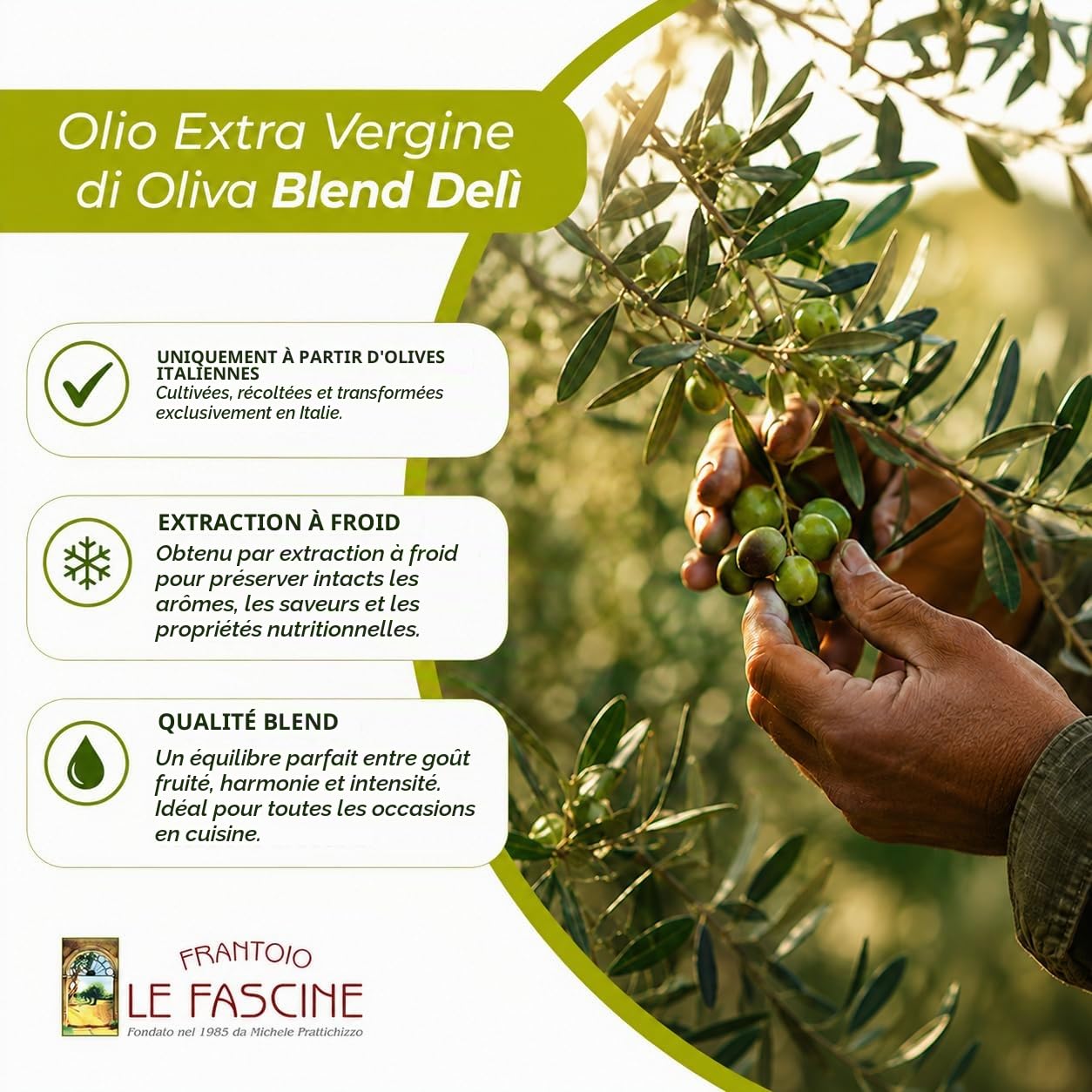Le Fascine Delicato - Huile d'olive extra vierge 100% italienne DELICATE Pugliese extraite à froid 100% produite à partir d'olives provençales Ogliarola et Leccino (boîte de 5 litres)