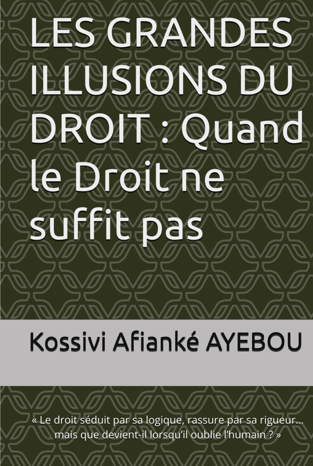 LES GRANDES ILLUSIONS DU DROIT : Quand le Droit ne suffit pas: « Le droit séduit par sa logique, rassure par sa rigueur… mais que devient-il lorsqu’il oublie l’humain ? »
