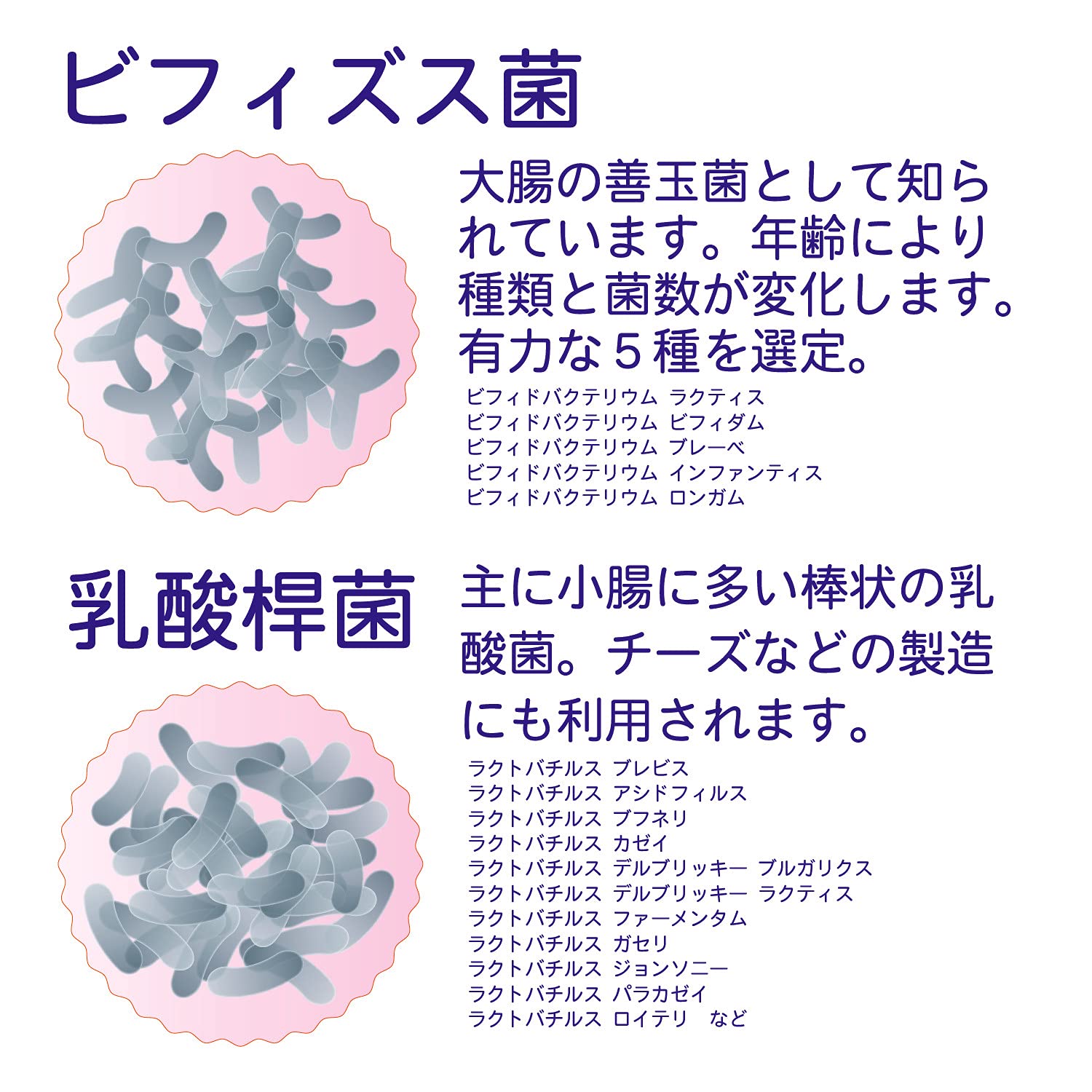 Amazon.co.jp: 未来菌 乳酸菌 サプリ ビフィズス菌 30種類 5兆個 30日 