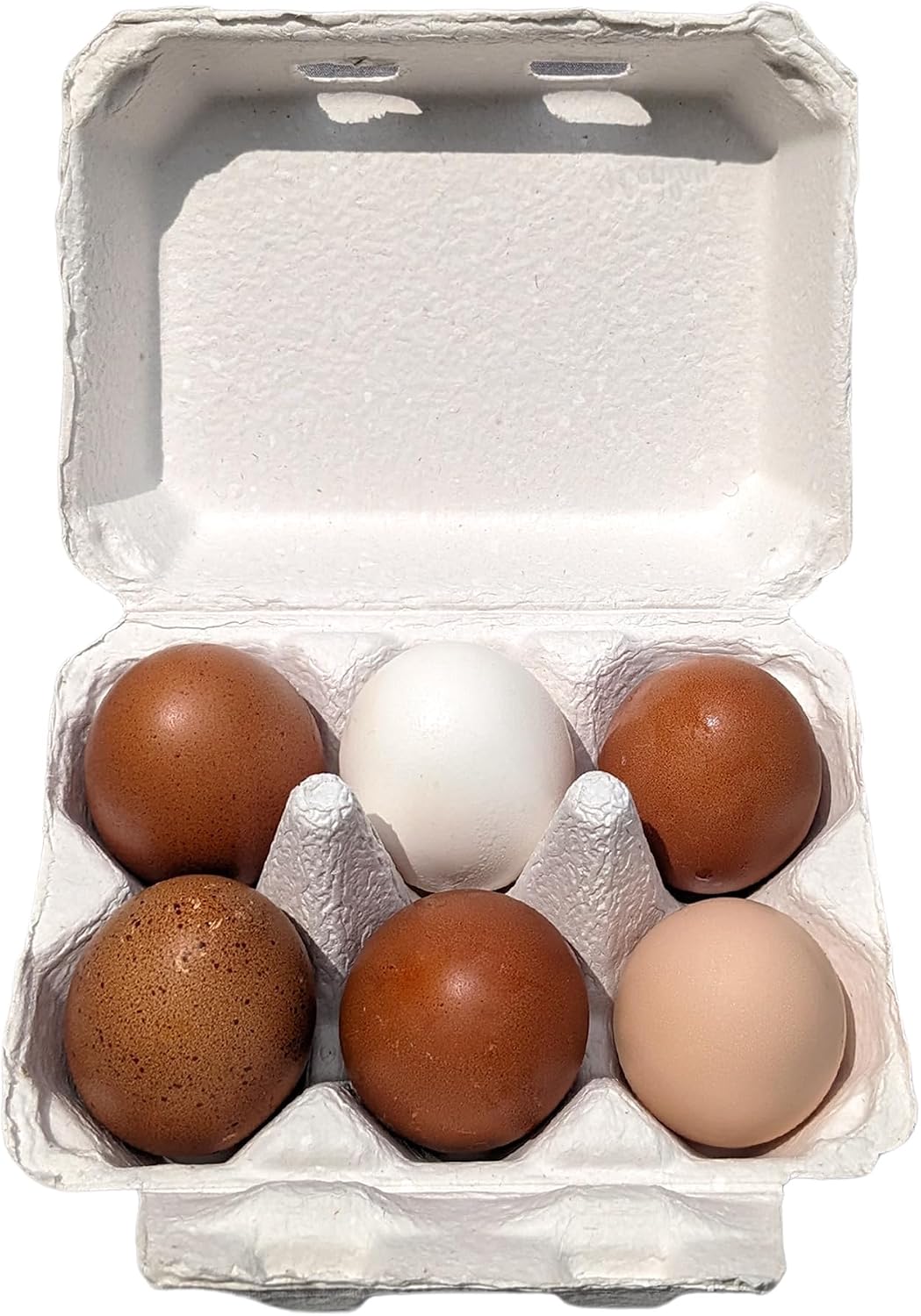 White Half Dozen Blank Egg Cartons – 6-Pack Flat Top Half-Dozen Holder, Recyclable Pulp, Ideal for Farm-Fresh Eggs, DIY Custom Labeling, Eco-Friendly Storage - 20 Pack
