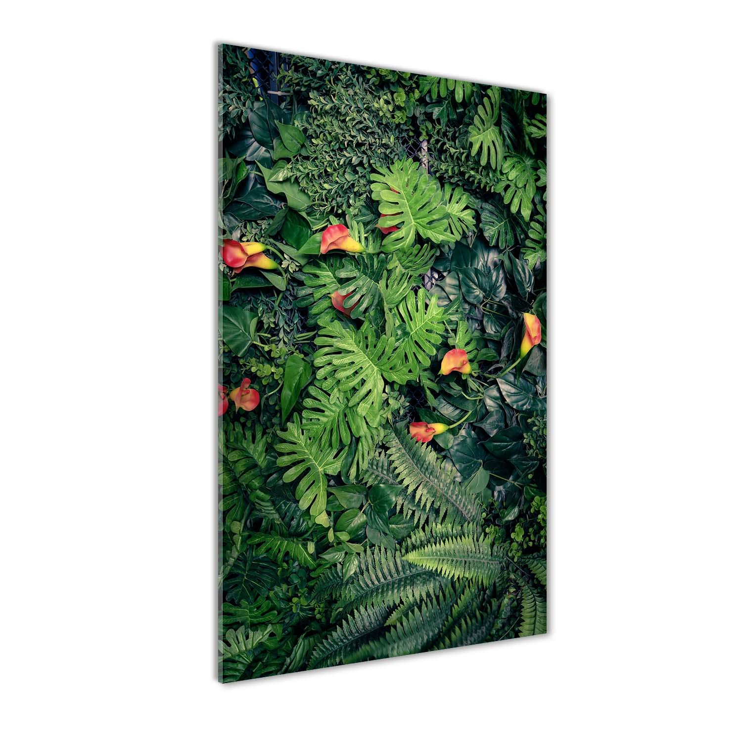 Impression sur verre acrylique Tulup 50x100 - Tableau fleurs et plantes vert