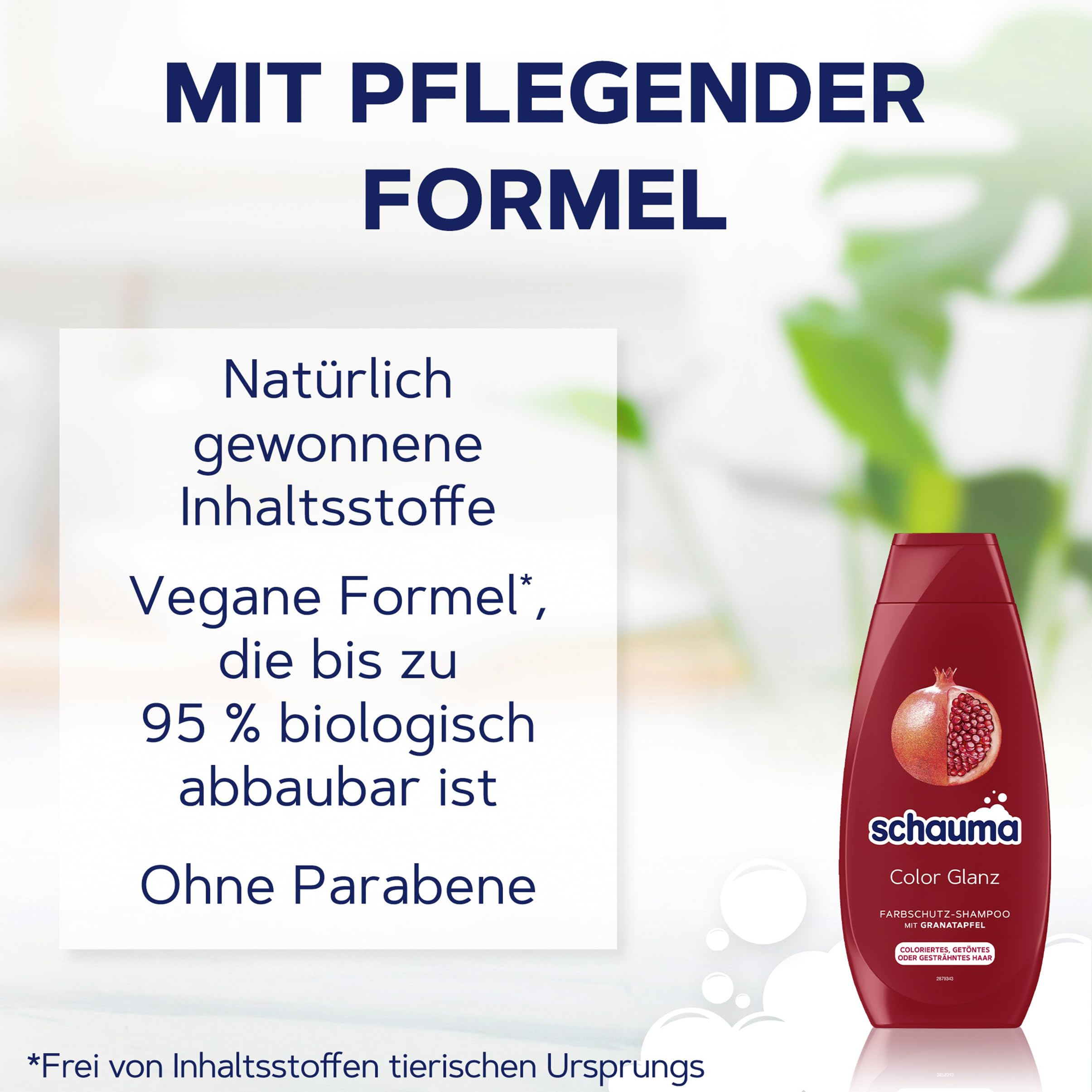 Schauma Schwarzkopf Colour Protection Shampoo Colour Shine (5 x 400 ml), Hair Shampoo Nourishes Coloured - Image 2