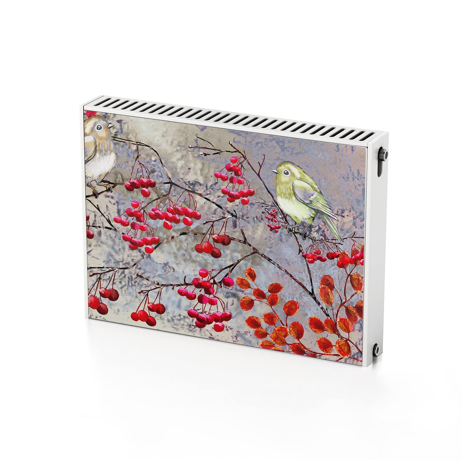 Autocollant de radiateur chauffage magnétique 80x60 Coloray oiseaux