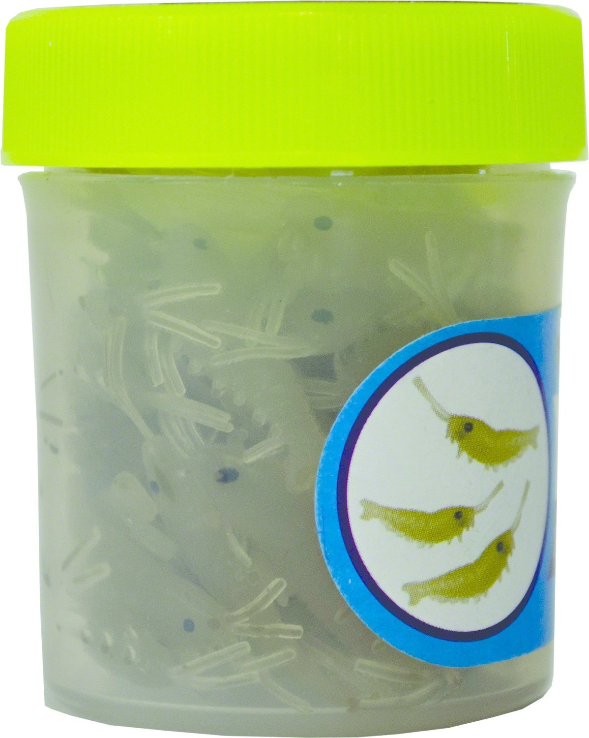 HT IS-1S Ice Scents