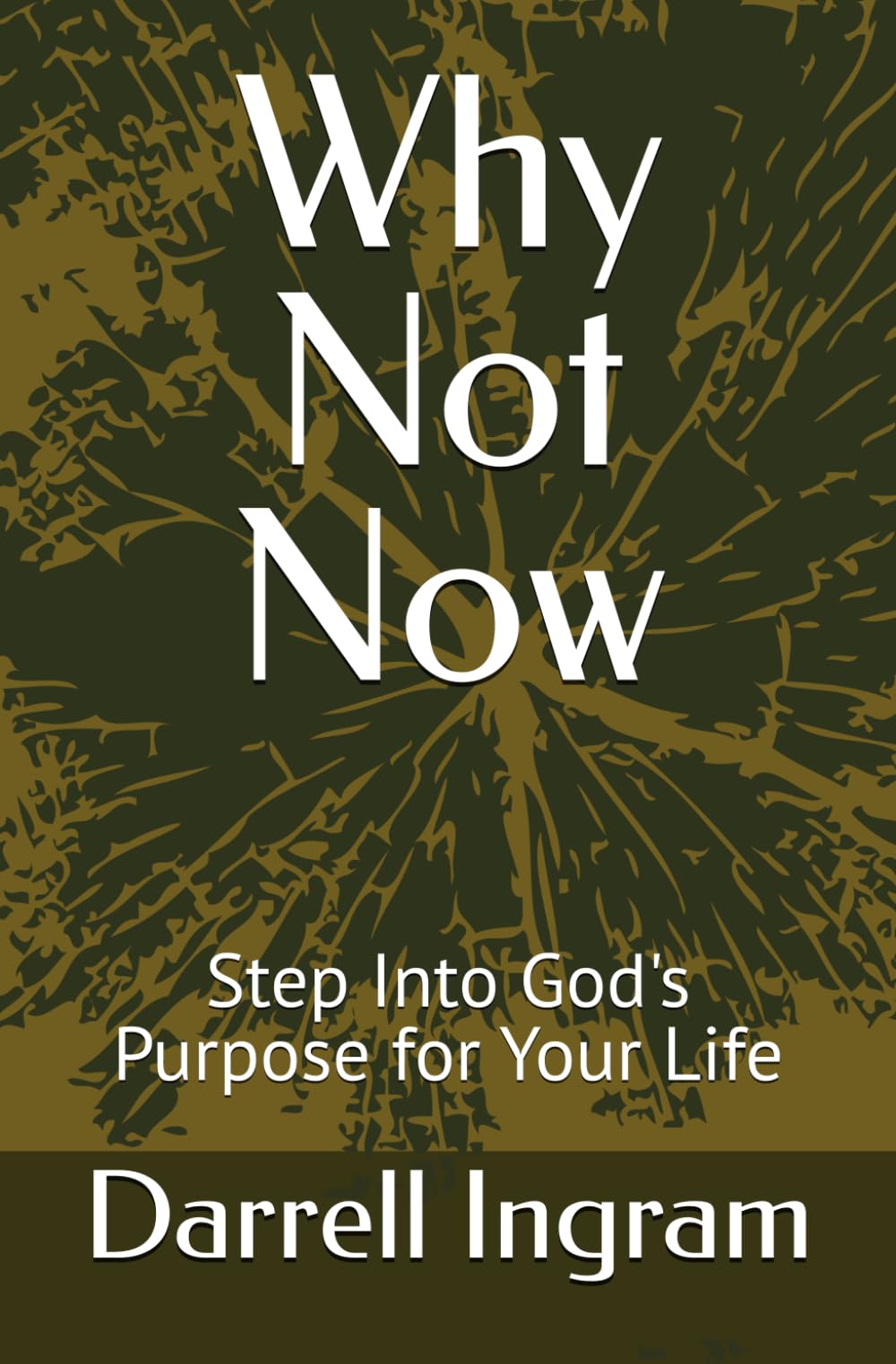 Why Not Now: Step Into God's Purpose for Your Life