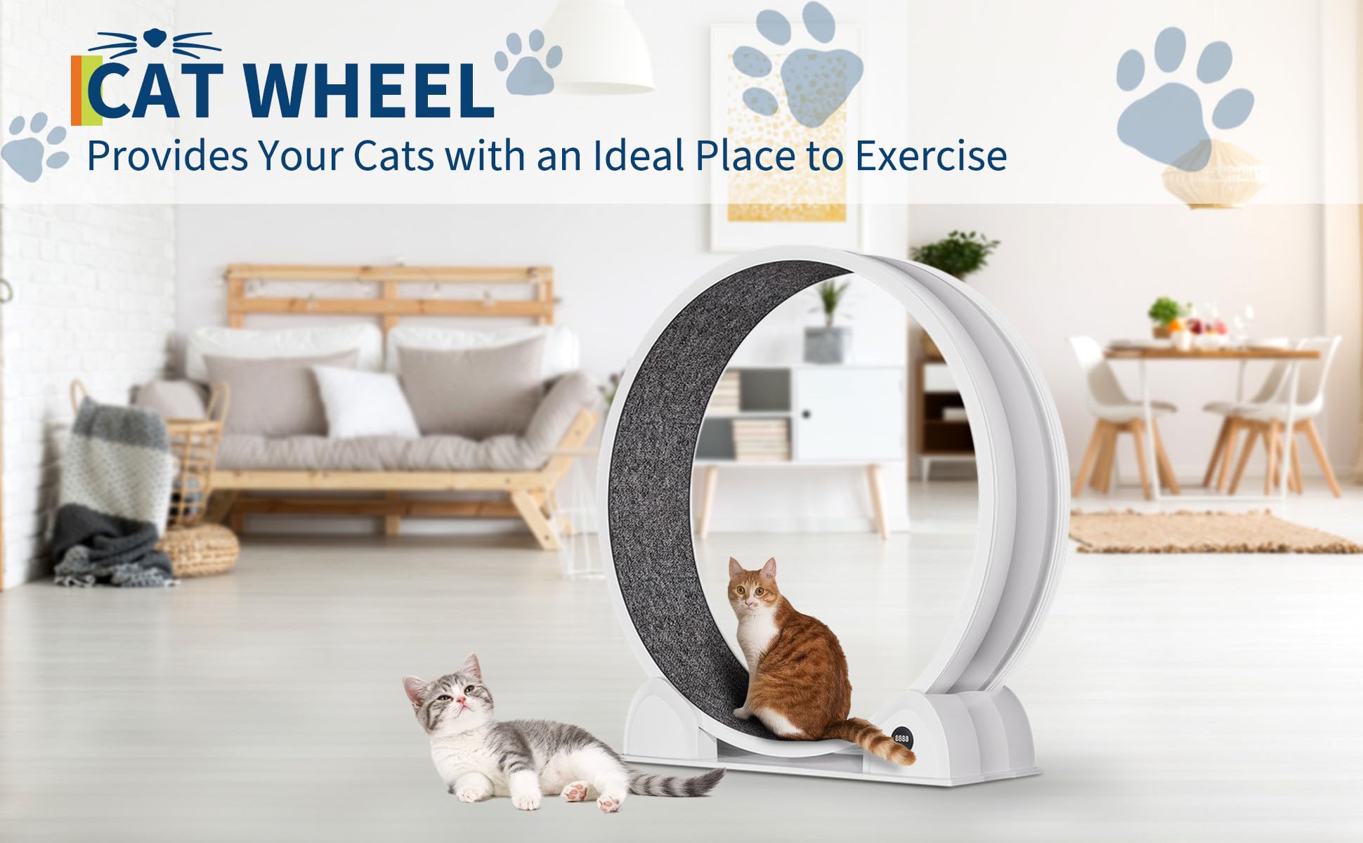 Leises Katzen-Laufrad 114 cm aus stabilem ABS mit Schrittzähler & abnehmbarem Teppich – Indoor-Training für Fitness, Gewichtsmanagement & artgerechte Beschäftigung – Weiß