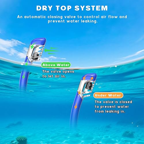 Miniatura 6 de Equipo de esnórquel para adultos, juego de máscara de esnórquel con parte superior seca, máscara de buceo, gafas de natación con cubierta de nariz,