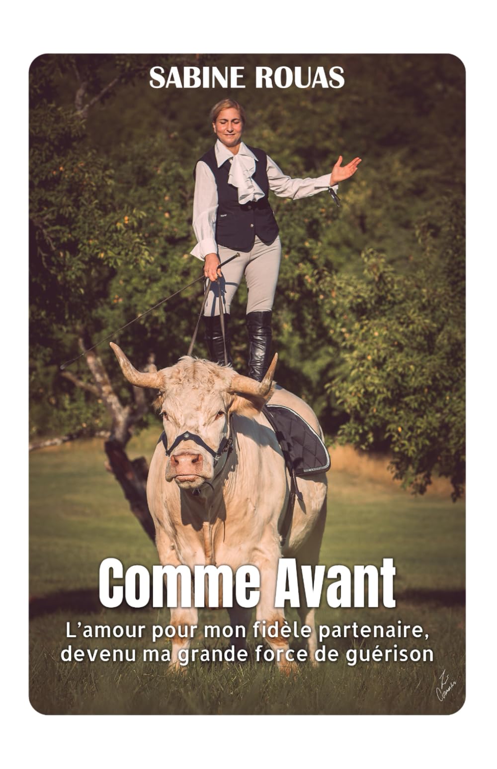Comme avant: Lorsque l'amour pour mon fidèle partenaire est devenu ma force de guérison
