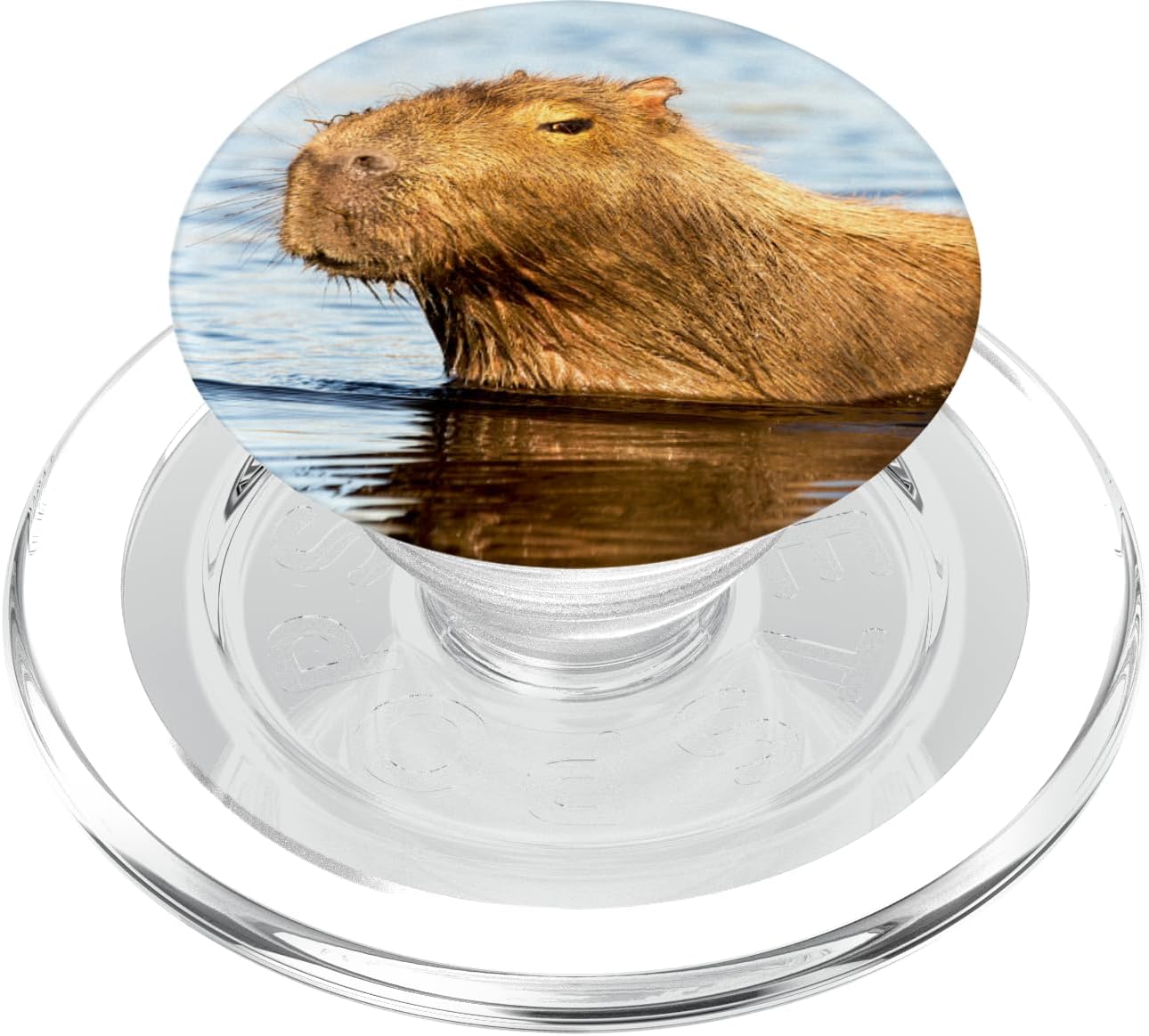 Capybara PopSockets Grip and Stand for Phones and Tablets PopSockets MagSafe PopGrip for iPhone