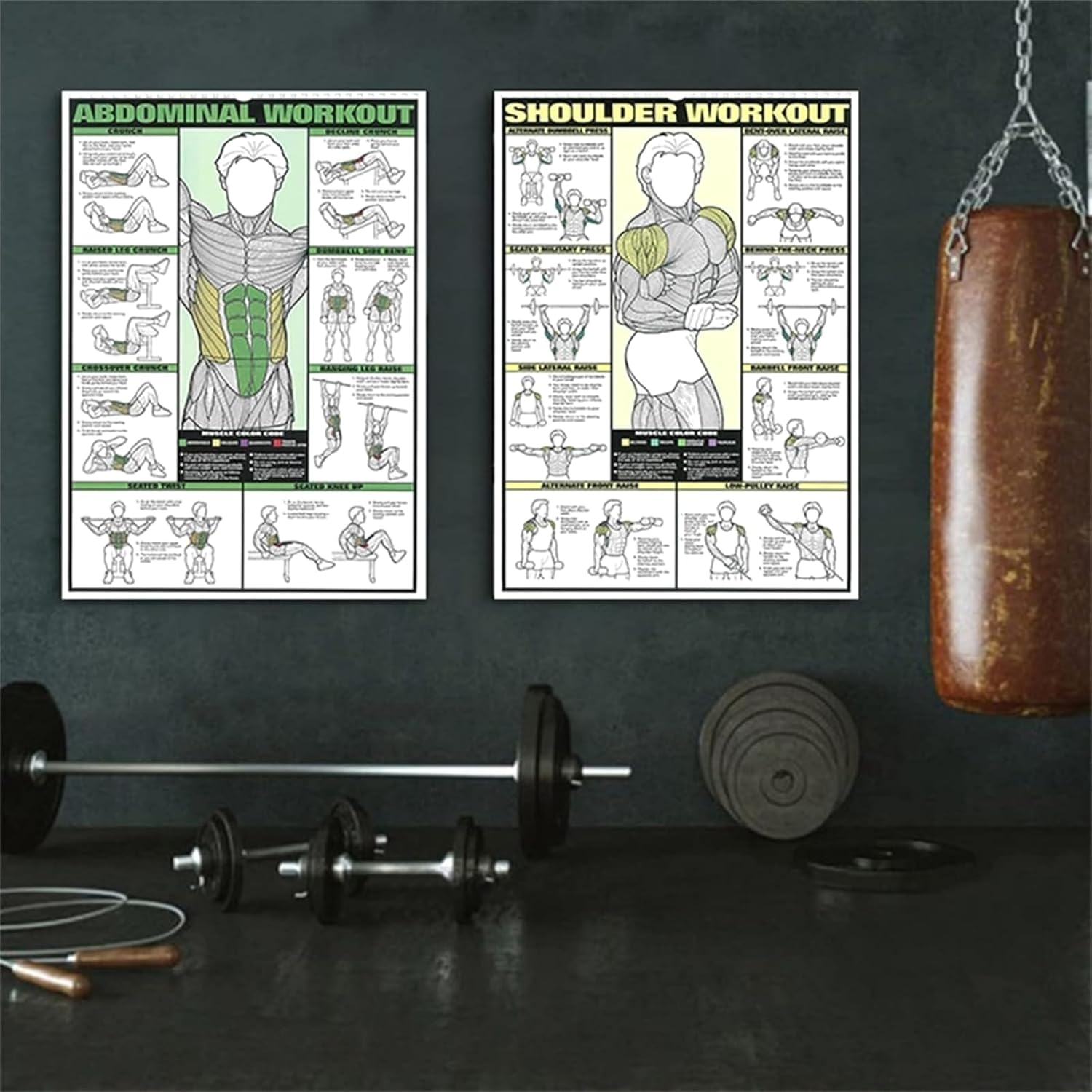 Full-Body Workout Posters Set: 6PCS Charts for Triceps, Shoulder, Leg, Back, Chest, Abs