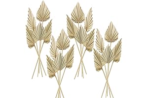 Dried Palm Spears Leaves Hojas Secas Para Decoracion