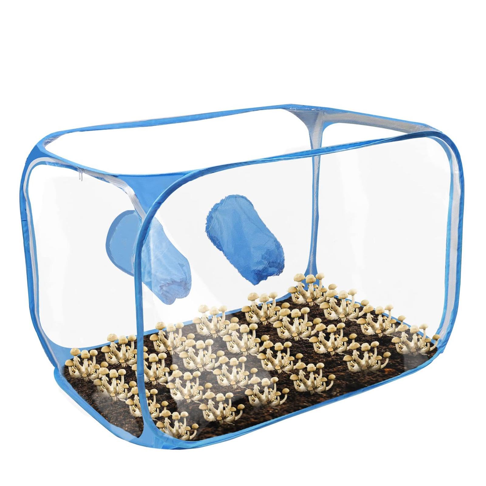 Tente de culture de champignons – Conteneur de culture de champignons, boîte à air stationnaire pour champignons | Conteneur de culture de champignons, kit de tente de culture de station de