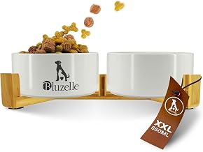 Raised Dog Bowls, 2 x 850 ml, Ceramic Station, 2-in-1, Grey | Healthy Digestion & Posture, Maximum Stability, BALANCE BOWL