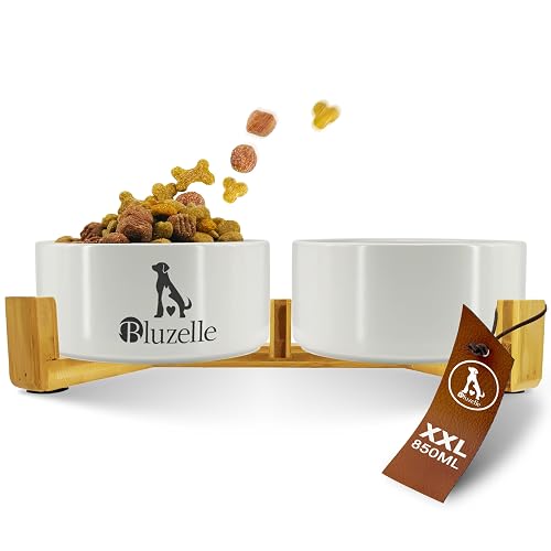 bluzelle Comedero Perro Elevado 2X 850ml - Estación Cerámica 2en1, Gris