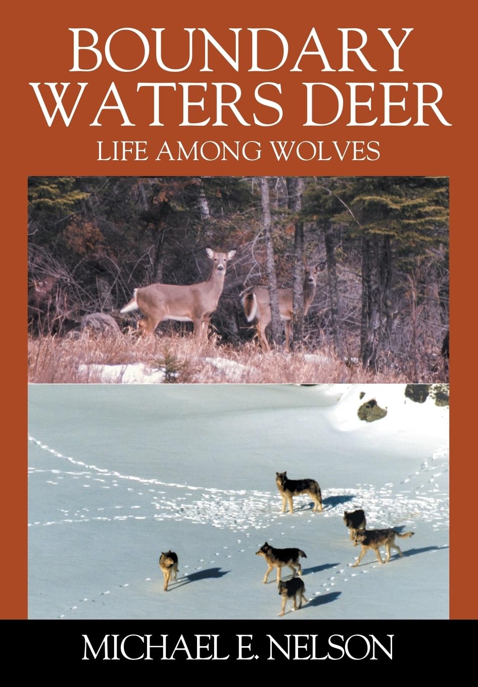 Boundary Waters Deer: Life Among Wolves