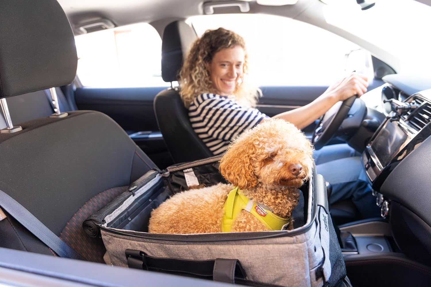 Carlett Chariot pour Animaux 3 en 1, Roues Pivotantes 360°, Résistant à l’Eau, Transporteur Compatible Siège Auto, Housse de Pluie et Sangle de Sécurité, Cube P, Gris