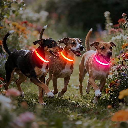 Miniatura 6 de Collar para perro con luz LED, ajustable, recargable por USB, superbrillante, luz de seguridad brillante para perros (M, rosa)