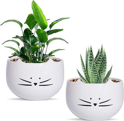 Koolkatkoo Juego de 2 macetas para suculentas de 5.5 pulgadas con diseño de gatos