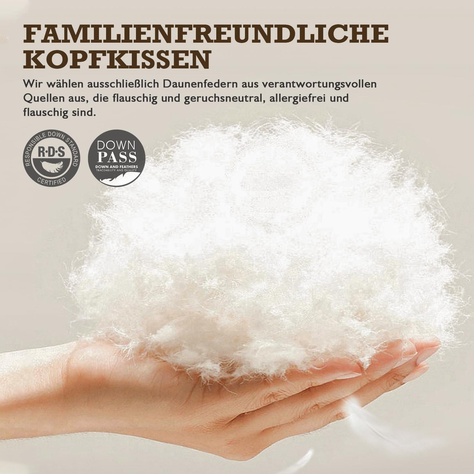 BPC Daunenkissen 80x80 Federkissen 2er Set, 3-Kammer Federn Daunen Kissen umgeben von Polyester und 100% Bio-Baumwollstoff, Weiches-Mittel Schlafkissen in Hotelqualität Kopfkissen, 80x80 cm