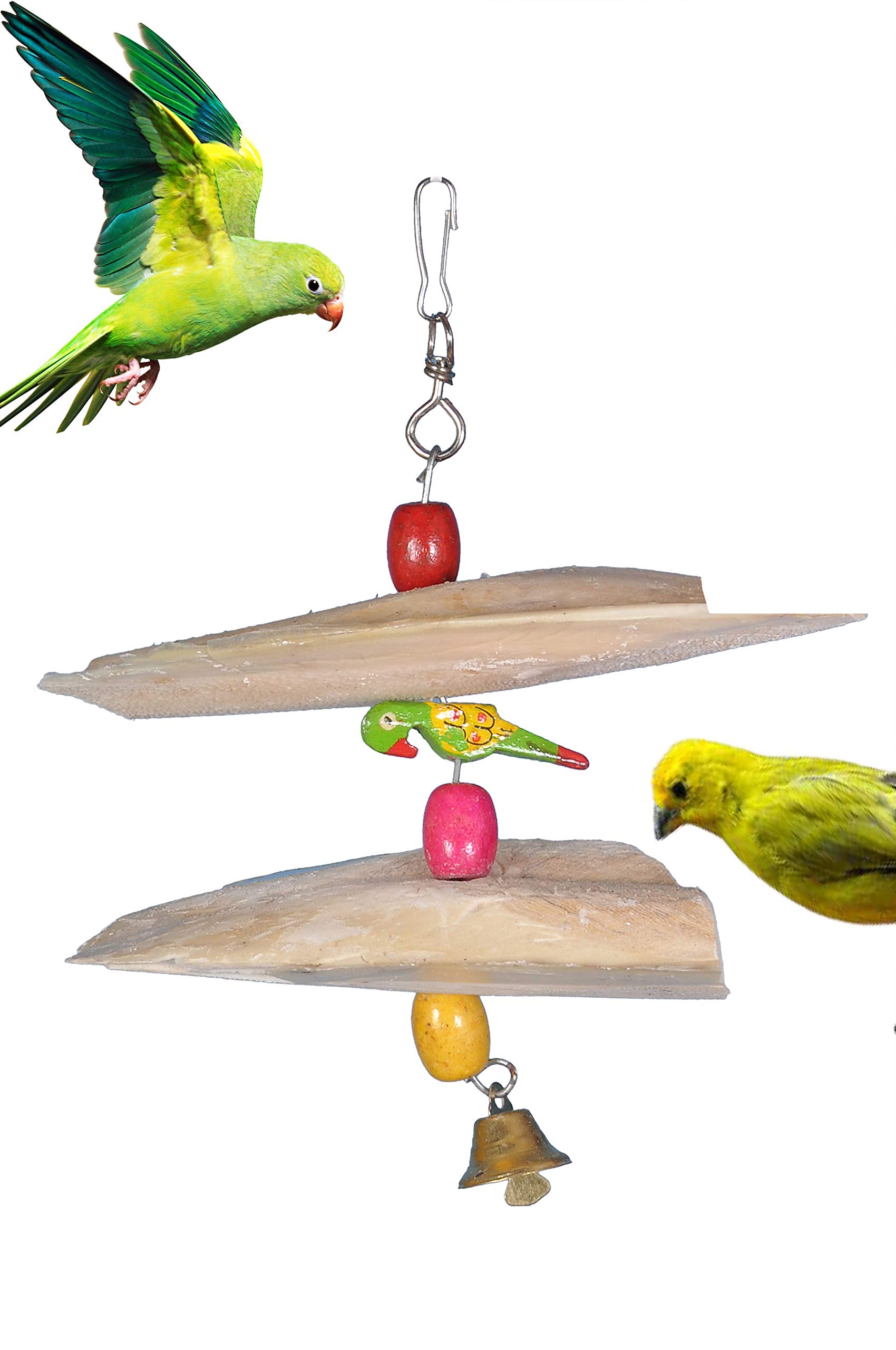 AVI CRAVE Cuttlefish Bone Toy for Birds,Calcium for Birds,Minerals,for Parrots,Budgies,Cocktail,Love Birds (Small) (B08GY6FK41) Amazon Price History, Amazon Price Tracker
