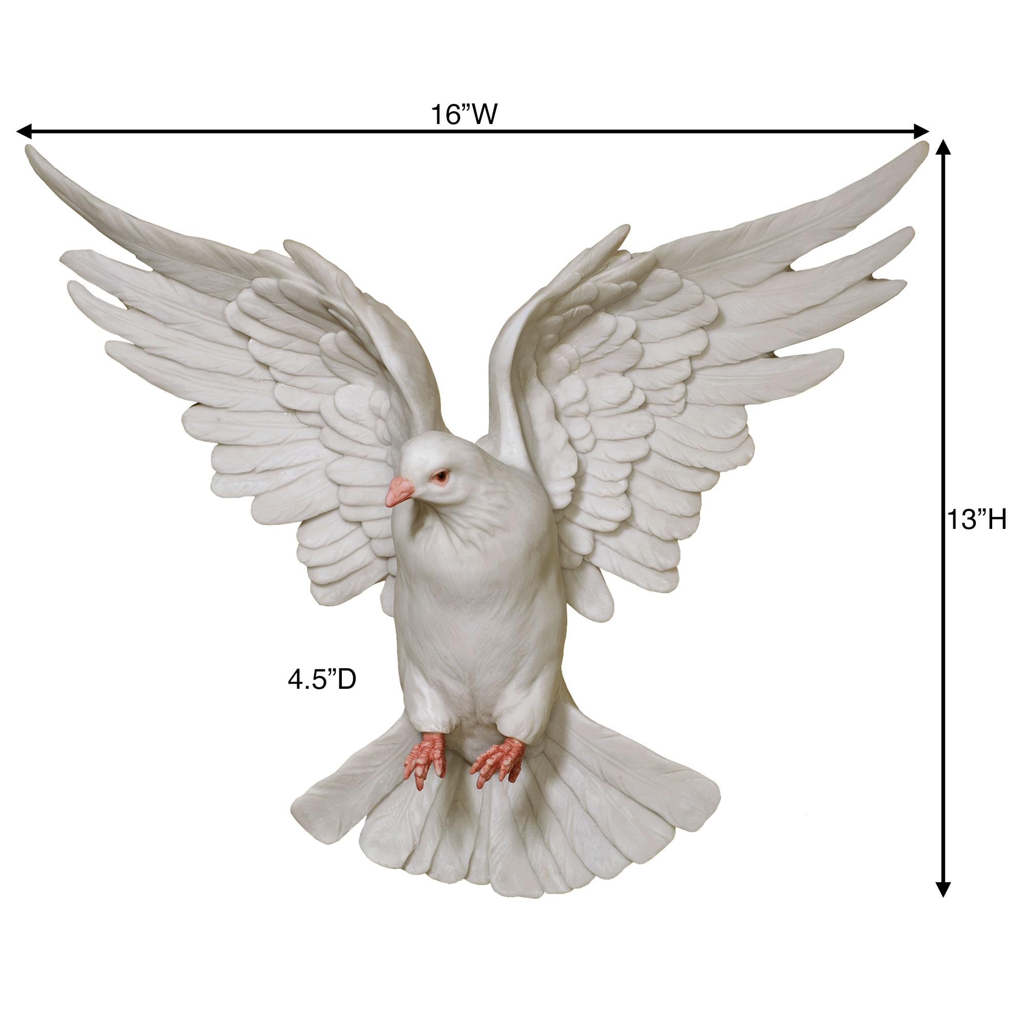Amazon.com: Touch of Class Windborne Dove Wall Accent Decor, White