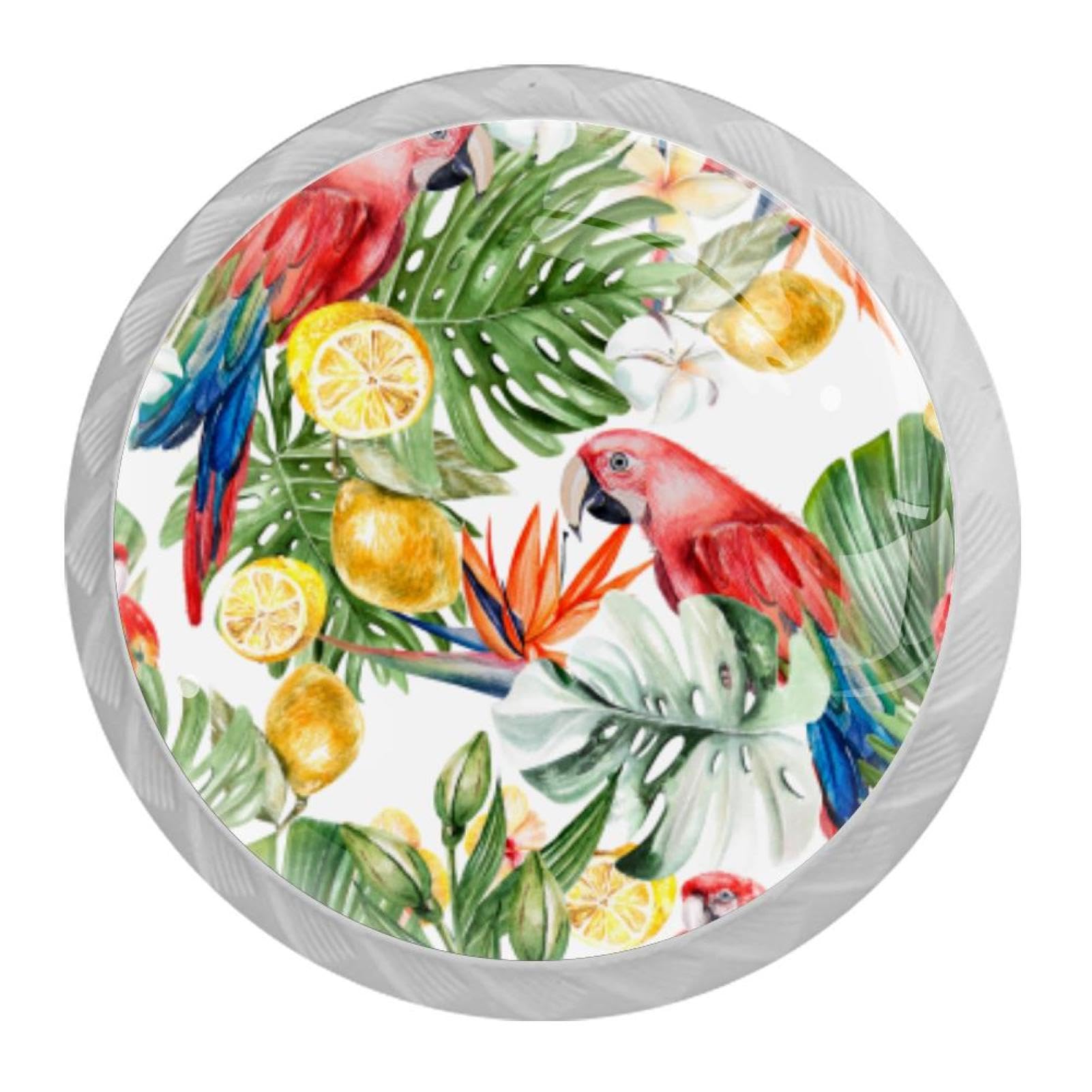 Tqmspg 4 Pieces Drawer Pulls Monstera Leaf Parrot Lemons Door Knobs Dresser Handles for Kitchen Wardrobe Cupboard Hardware Furniture