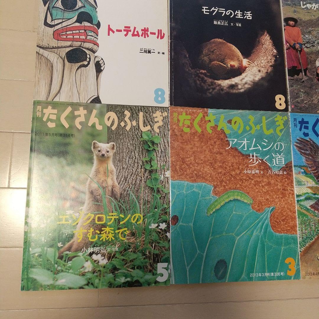 月刊　たくさんのふしぎ（12冊まとめ売り） A1gf3OfN+KL._UF350,350_QL50_.jpg