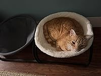 Review Image by Eleanor M. Eleanor M.