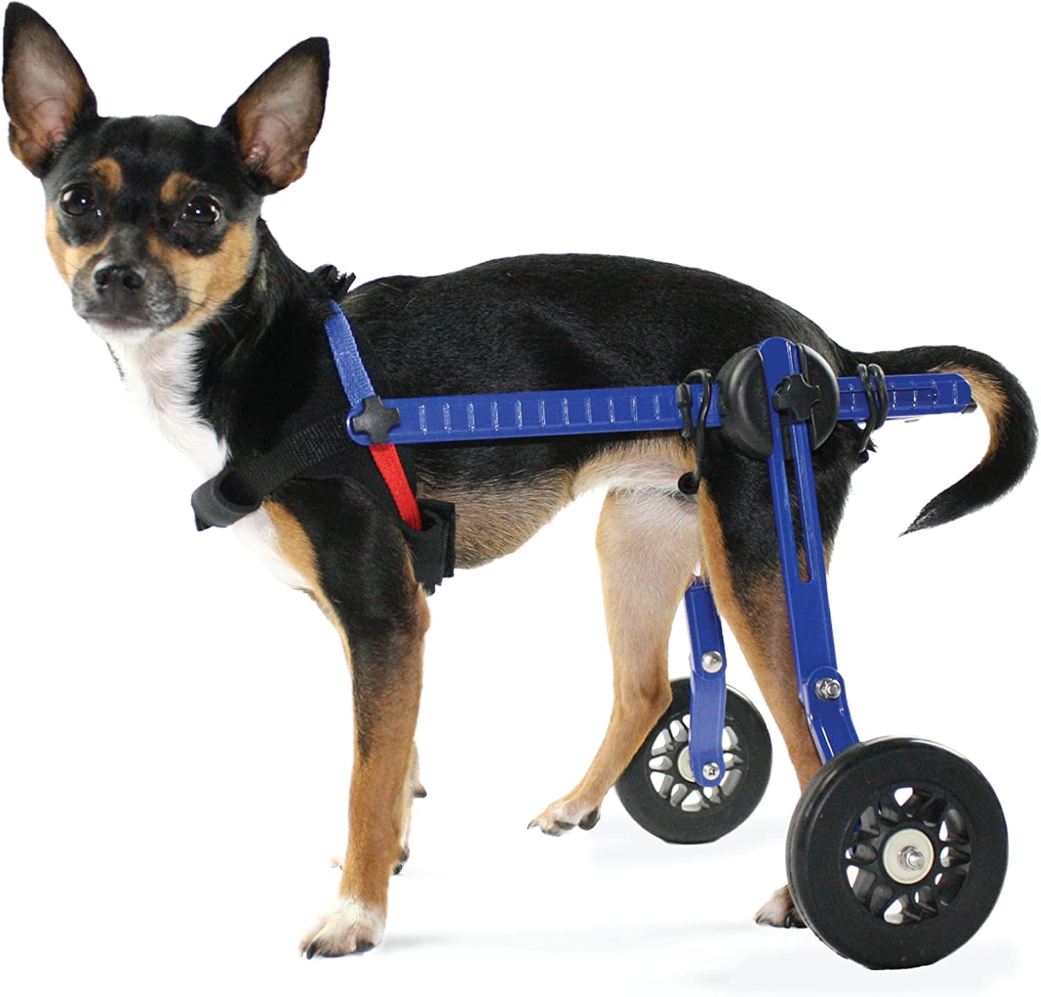 Dog Wheelchair - XS for Mini/Toy Breeds 2-10 Pounds - Veterinarian Approved - Dog Wheelchair for Back Legs