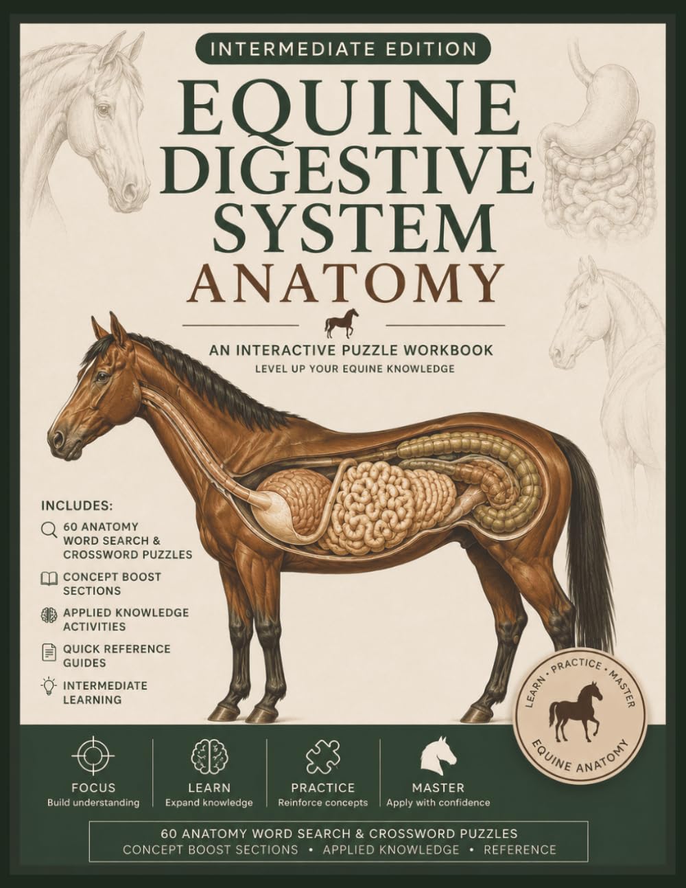 Equine Digestive System Anatomy – Intermediate Edition: Understanding Digestion, Hydration, Nutrient Absorption & Gut Health Through Interactive Equine Anatomy Learning | 8.5 x 11 | 125 pages