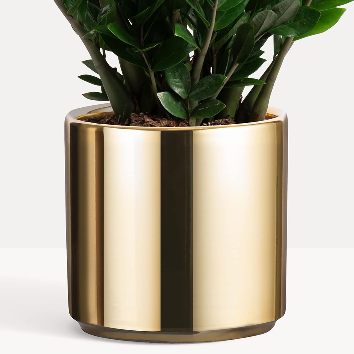 PEACH & PEBBLE 12 Inch Gold Ceramic Planter. Classic Cylinder Plant Pot for House Plants and Indoor Plants (Drainage + Stopper Included).