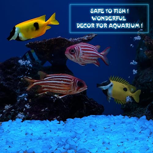 Miniatura 4 de Wesiti Grava que brilla en la oscuridad, decoraciones de rocas fluorescentes que brillan en la oscuridad, rocas decorativas para acuario, piedras de