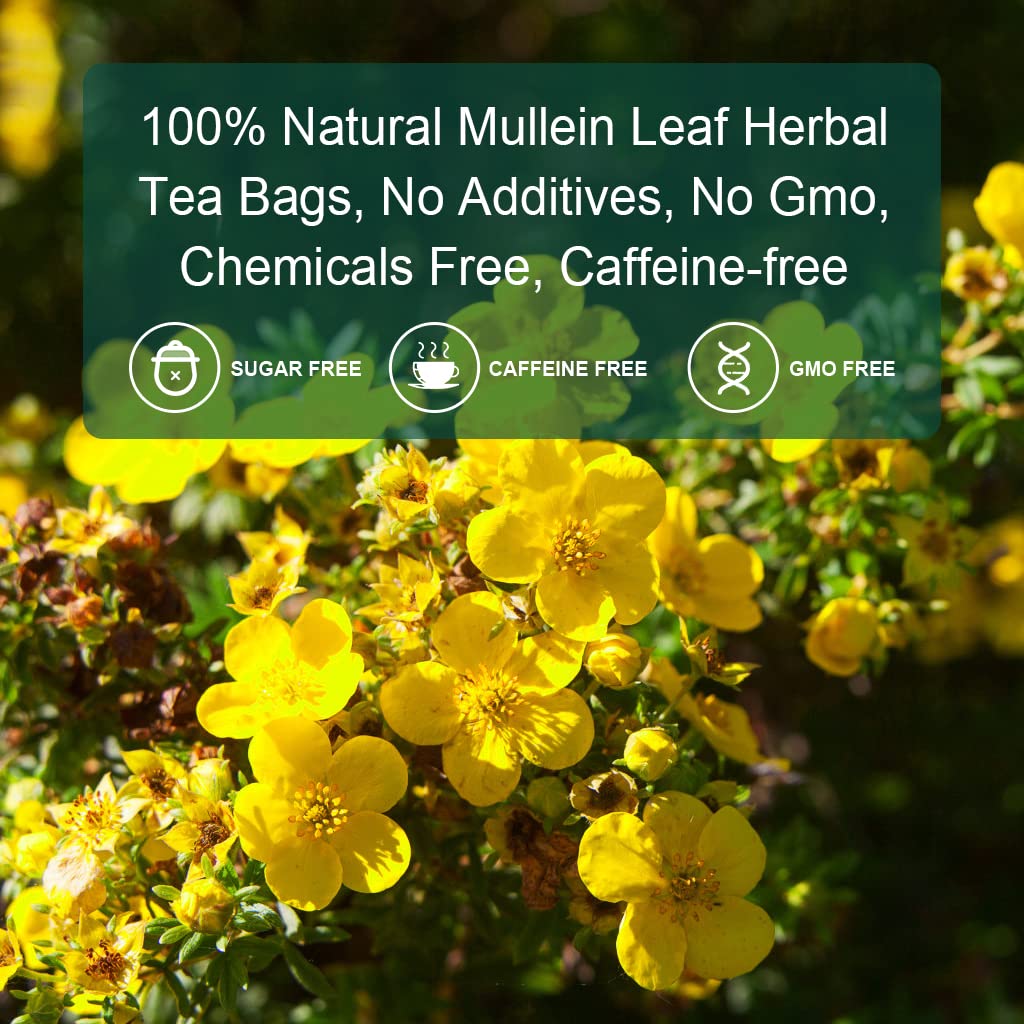 Mullein Leaf Tea Bags - Lungs Cleanse and Respiratory Support, Herbal Teas, Caffeine Free, 40 Tea Bags - Image 6