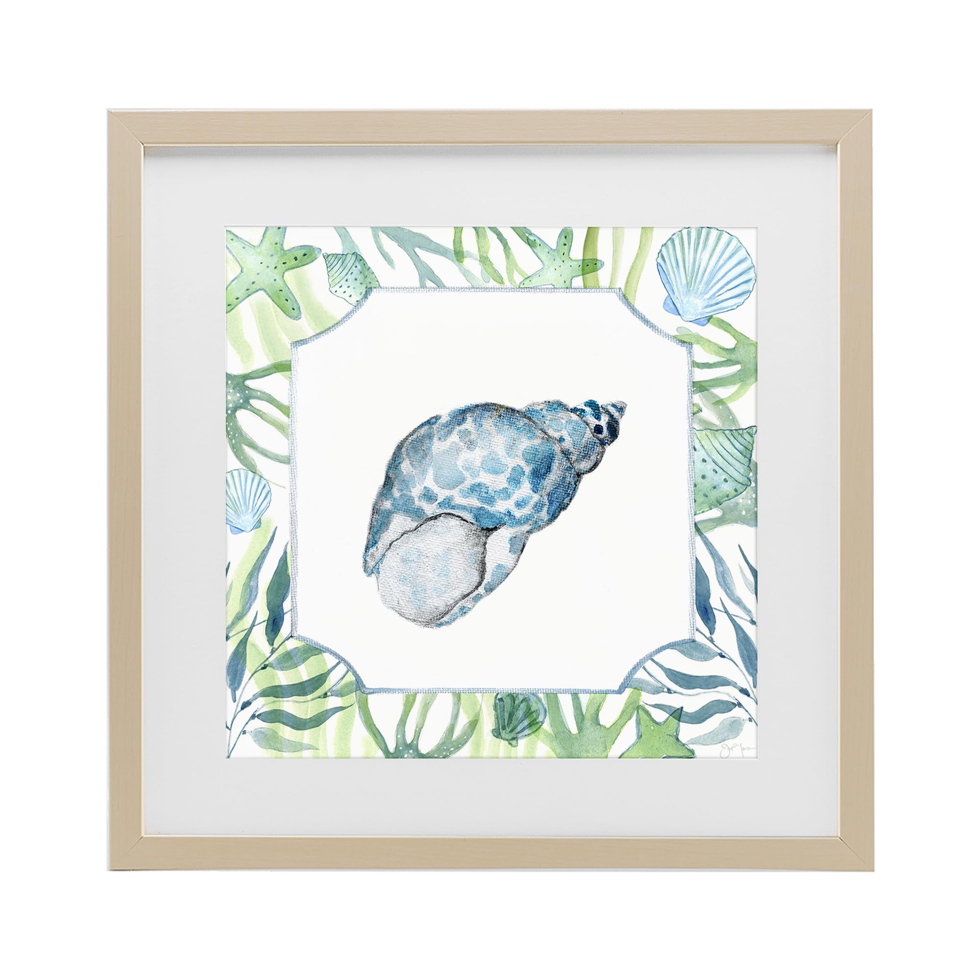 Stupell Industries Harvest Pine (Textured) 'Spotted Cowrie With Seaweed'| Framed Print Under Glass