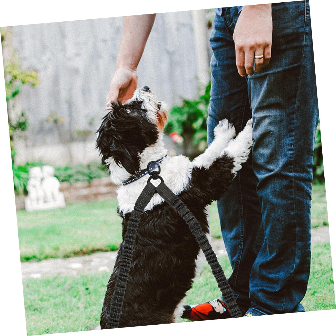 COLLBATH 3piezas Cuerda De Tracción De Doble para Perros Correa Reflectante para Paseos Resistente y Portátil para Cachorros y Mascotas