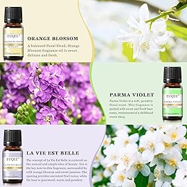 EUQEE Premium Floral Fragrance Oils Set 6PCS Fragrance Oils Set for Diffuser, DIY Candle - Honeysuckle, Lilac, Japanese Magnolia, Violet, Orange Blossom (10ml)