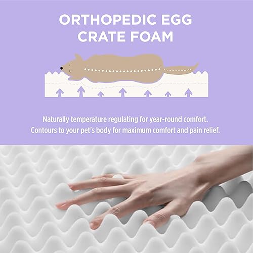 Miniatura 3 de LE SURE Cama impermeable para perros extra grandes, para exteriores, cama ortopédica de espuma para mascotas con superficie de tela Oxford y funda