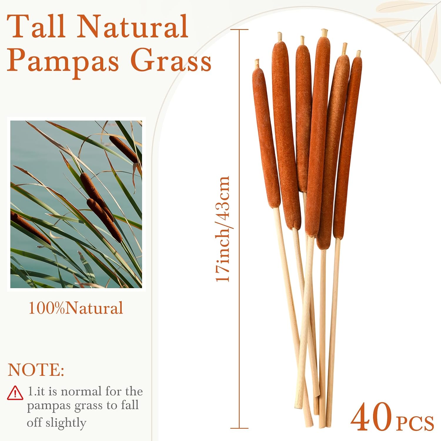 Knitgrip 40 Pcs Real Dried Cattails Natural Brown 17 Inch Vase Stems