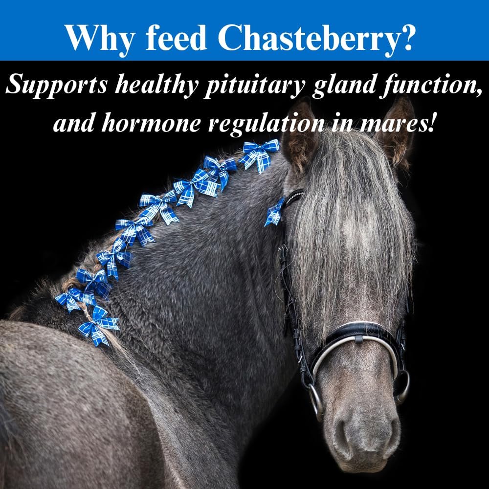 SU-PER Chasteberry Supplement for Horses - Supports Hormone Regulation & Healthy Pituitary Gland Function in Mares - Chasteberry for Horses - 1 Quart