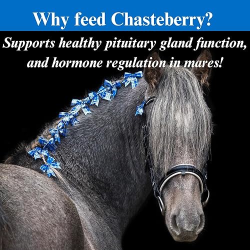 Miniatura 4 de SU-PER Suplemento de Chasteberry para caballos, apoya la regulación hormonal y la función saludable de la glándula pituitaria en yeguas, Chasteberry