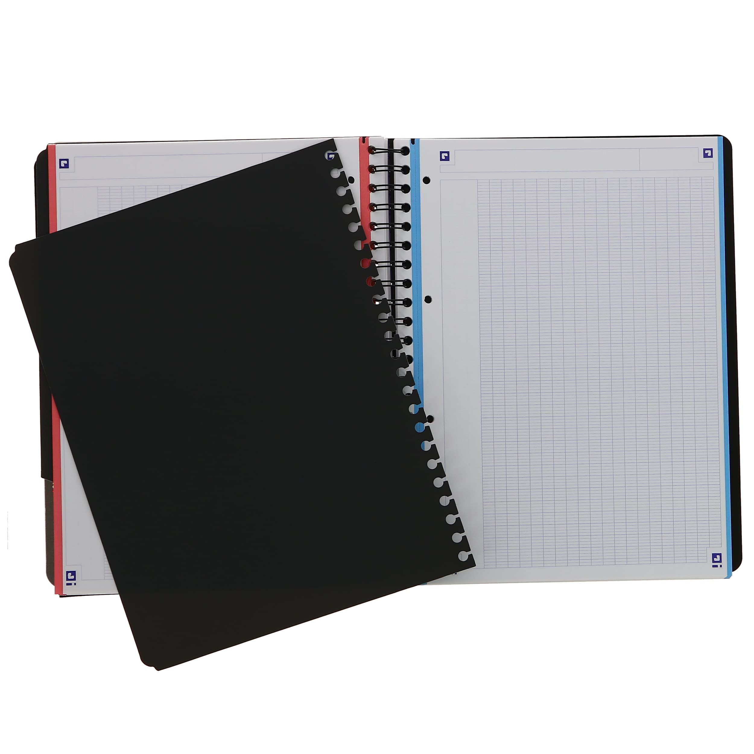 Oxford 400037408 ProjectBook Cahier à Spirales Format A4+ 200 Pages Grands Carreaux Seyès Couverture Polypro Couleur Aléatoire, 235 x 300 (Lot de 2)