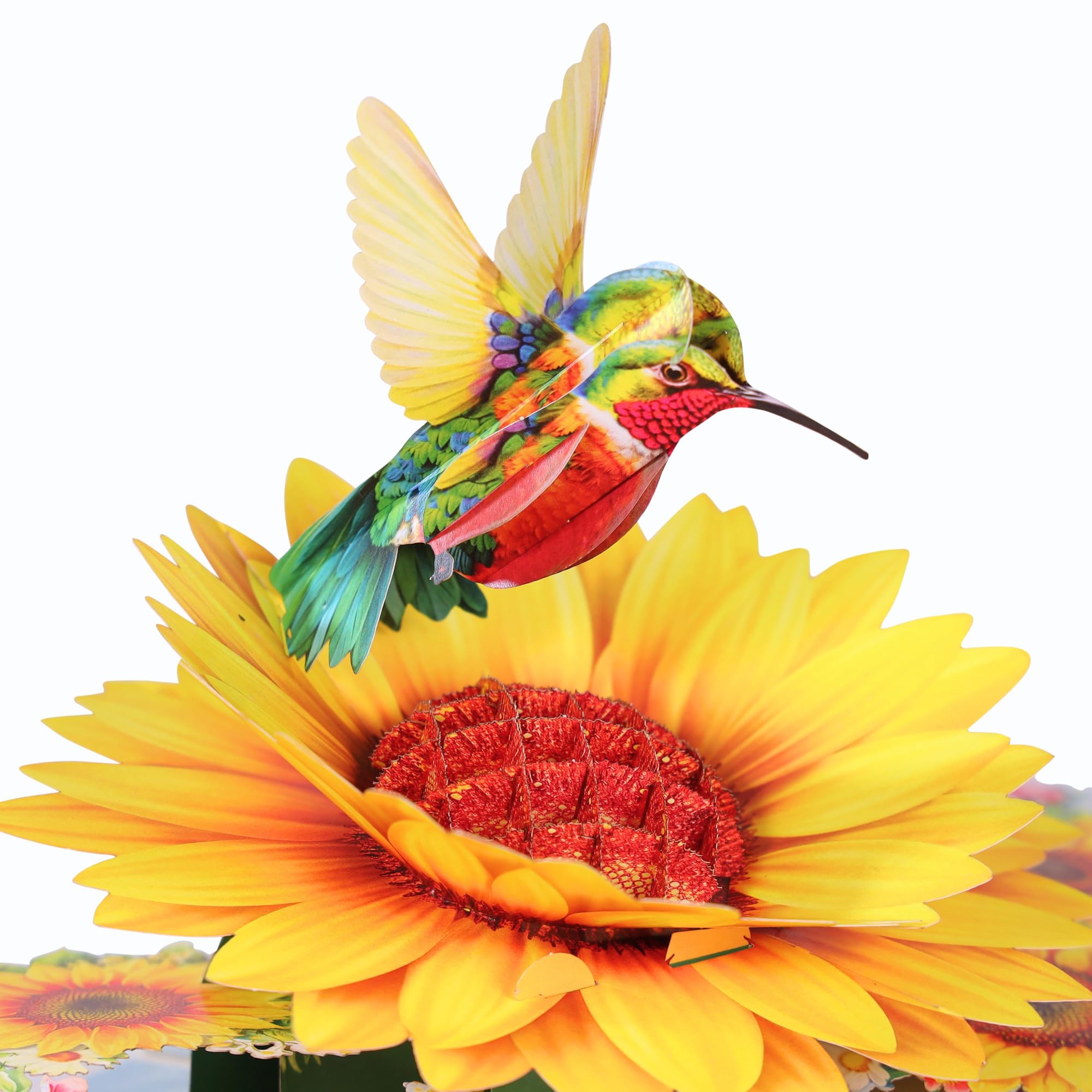 Muttertagskarten mit Kolibri-Sonnenblume, 3D-Pop-Up-Geburtstagskarte für Frauen, Mutter, Ehefrau, Tochter, sie, Schwester, Freundin, Oma, ideales Geschenk zum Valentinstag, Dankeschön, Genesung