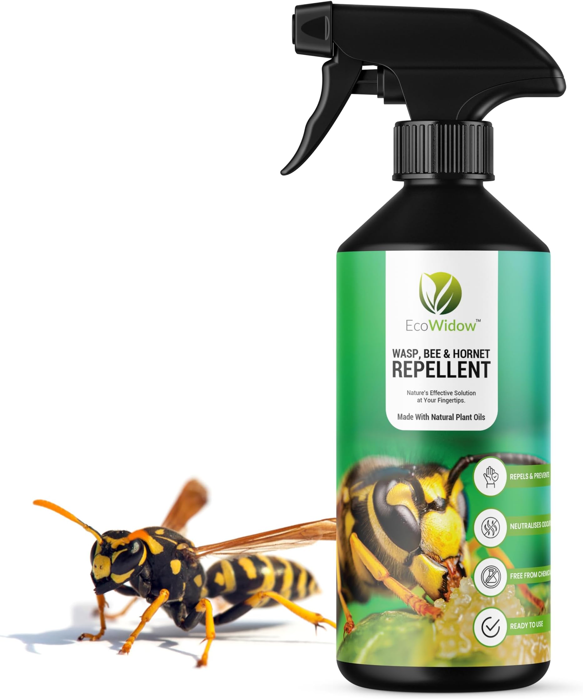– Wasp Bee Hornet Repellent Spray 500ML - Natural, Vegan-Friendly, Eco-Safe - Effective Indoor & Outdoor Anti-Wasp & Bee Solution - Safe Alternative to Nest Terminator