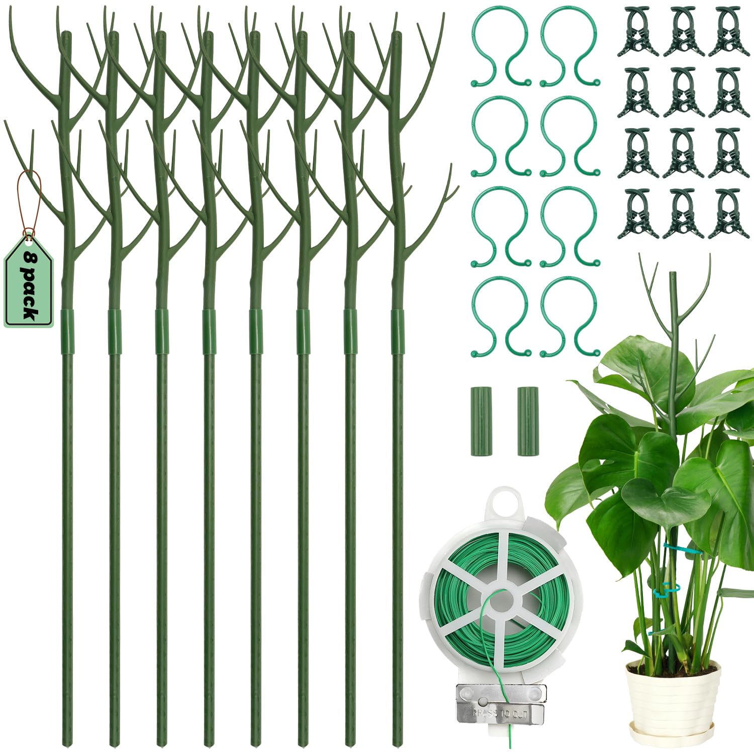 palm family plants Buy Areca Palm – Pet-Friendly Indoor Tropical Palm