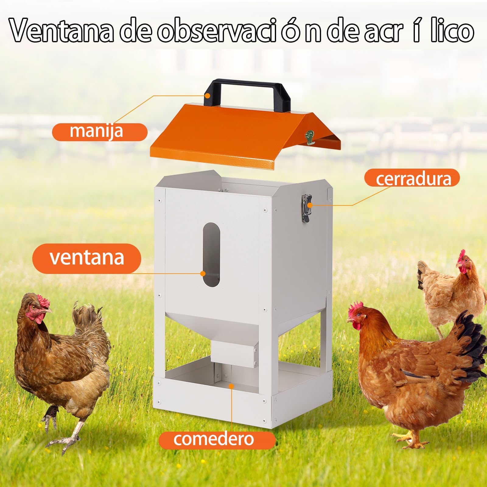 Comedero Gallinas De Acero Galvanizado 8KG Dispensadores De Pienso, Comedero Automático Para Gallinas, Patos, Pájaros, Comederos Para Aves De Corral Grandes, Visual