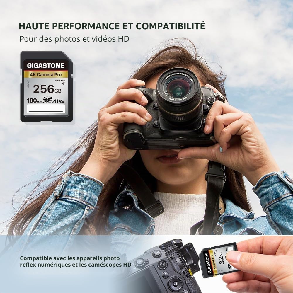 Gigastone Carte Mémoire SDXC 256 Go, 4K Pro Série, Vitesse de Transfert allant jusqu'à 100 Mo/s. Compatible avec Caméra Canon Nikon Sony Caméscope, A1 V30 UHS-I Classe 10 pour 4K UHD Vidéo