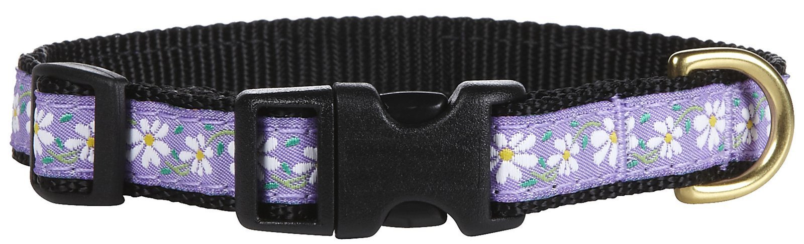 Collier marguerite XS idéal pour les promenades printanières au parc