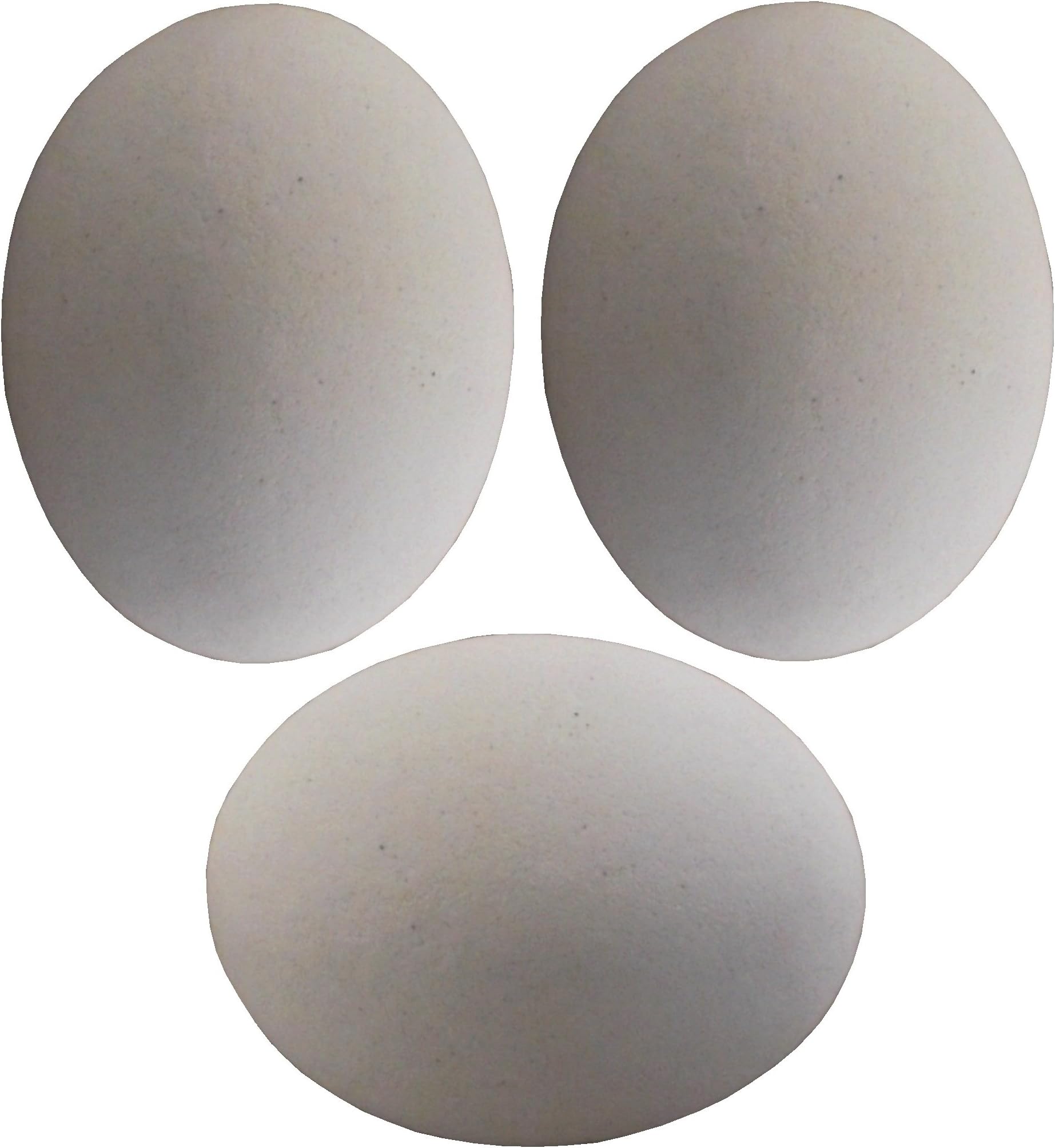 3 PACK WHITE CERAMIC DUMMY BIRD QUAIL NEST EGG HATCHING CRAFT NESTING DOVE